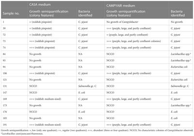 Head-to-head comparison of CAMPYAIR aerobic culture medium versus standard microaerophilic culture for Campylobacter isolation from clinical samples